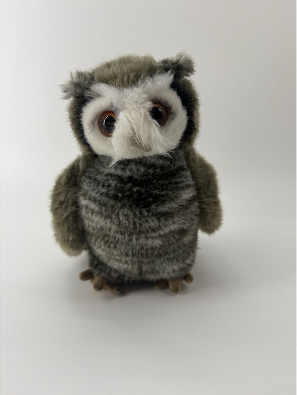 Pigwidgeon Owl  Wizarding World Harry Potter Universal Studios Rotating Head